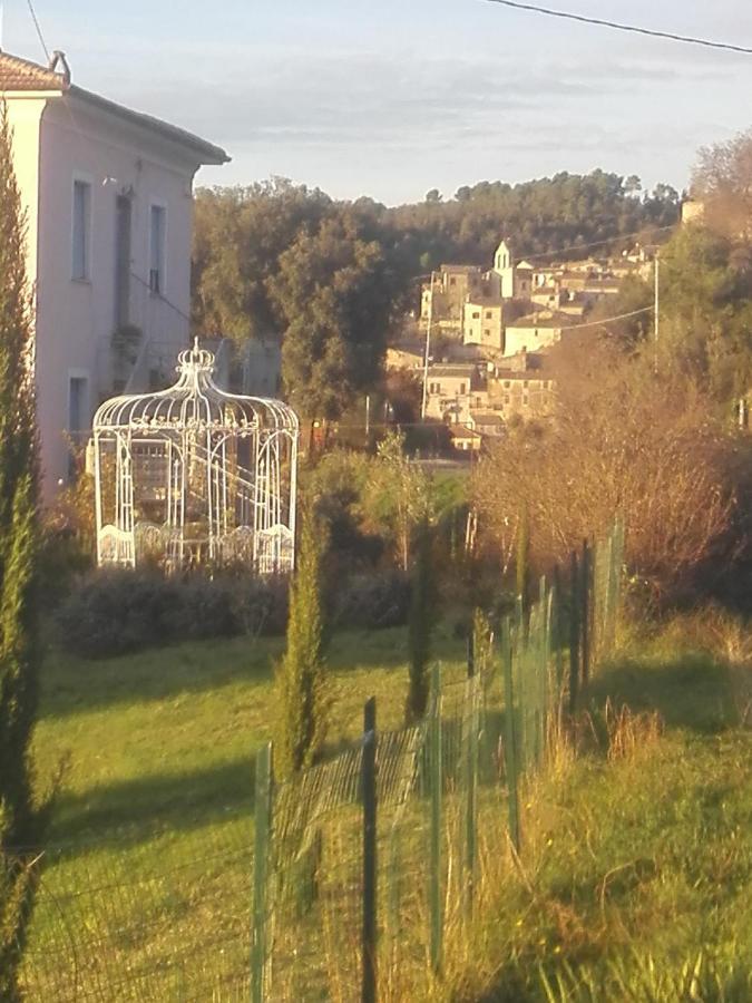 特拉蒙蒂瓦利公寓 Calvi dellʼ Umbria 外观 照片