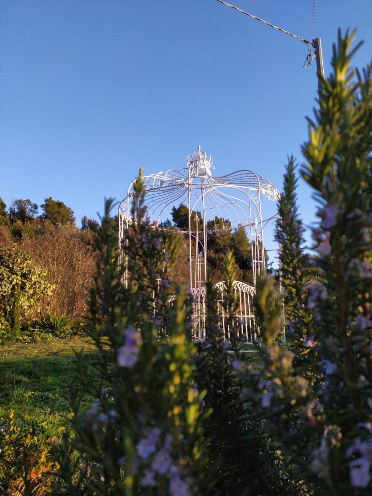 特拉蒙蒂瓦利公寓 Calvi dellʼ Umbria 外观 照片